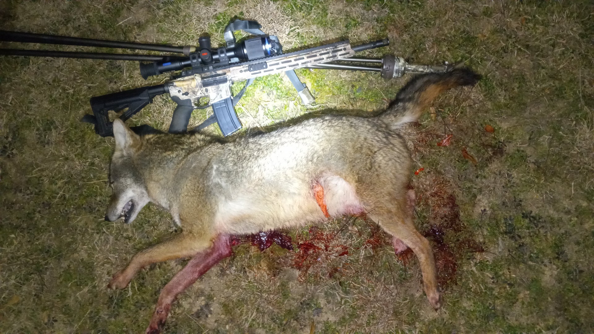 Deer hunting Hunting Air gun Terrestrial animal Machine gun